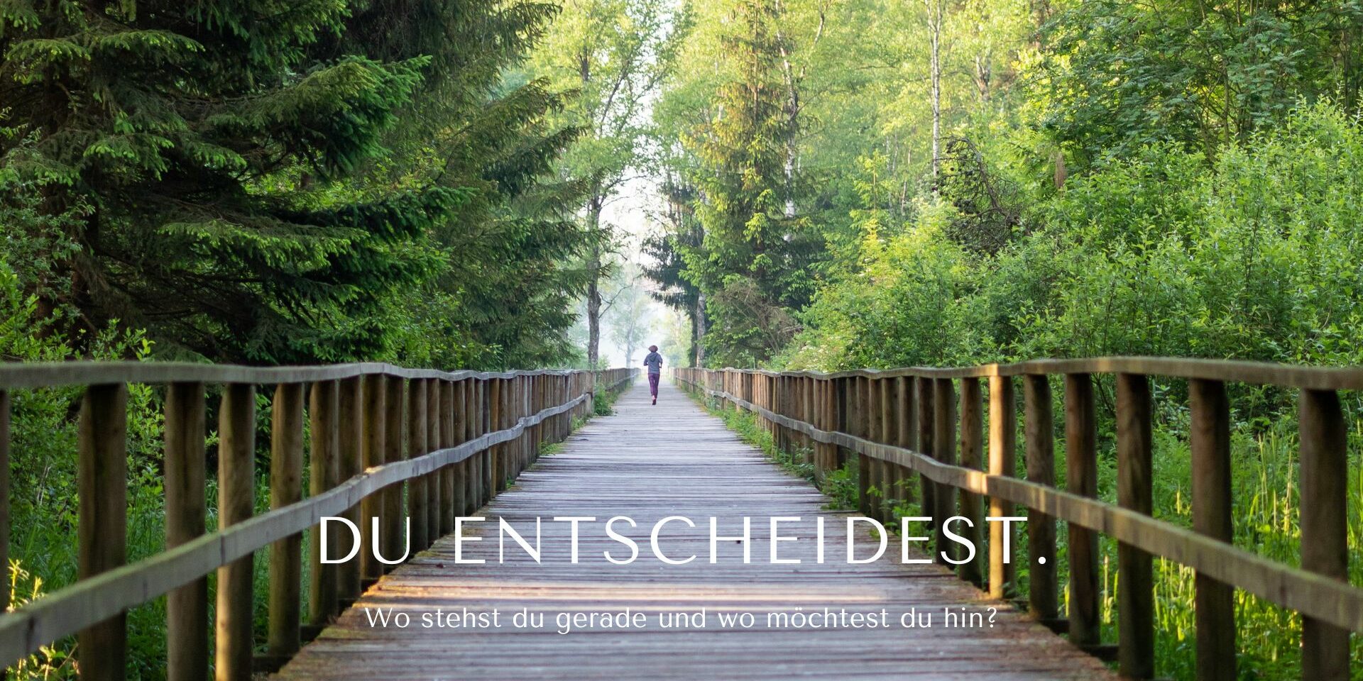 Blogartikel Veränderung