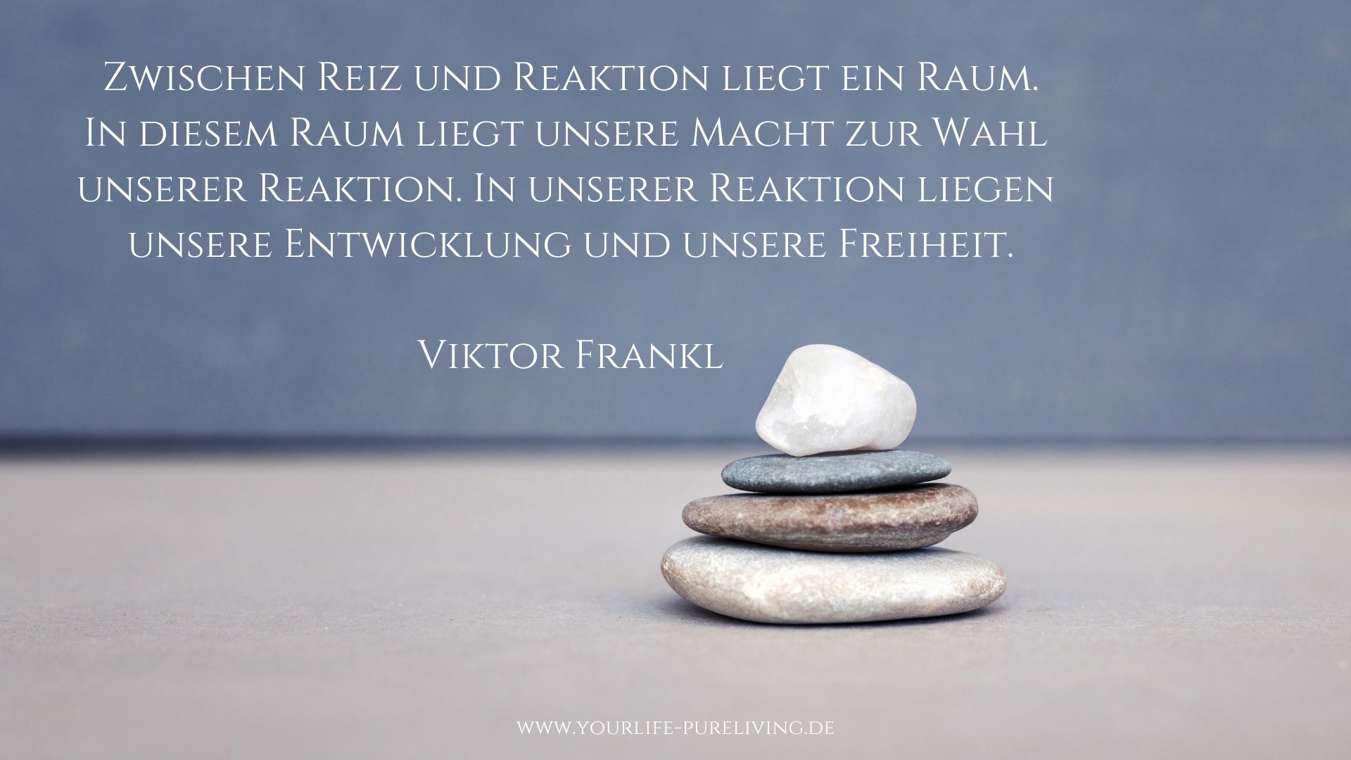 Reiz und Reaktion