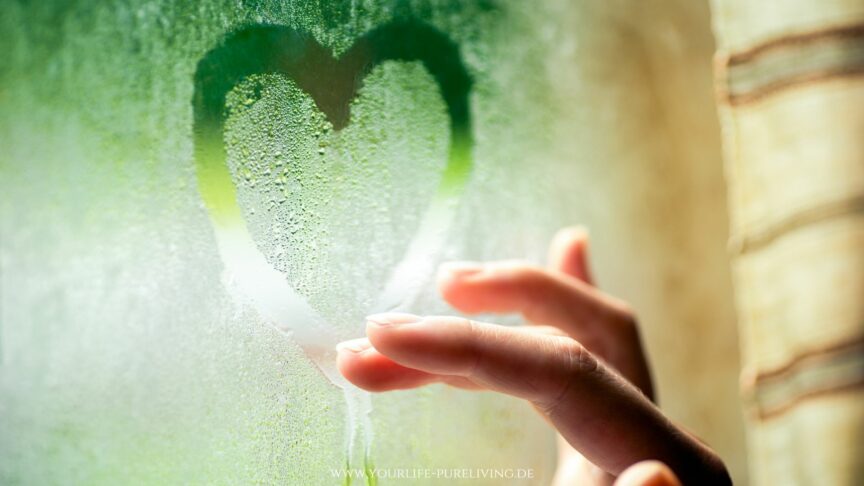 Blog_Zulassen statt loslassen_YourLife Coaching und Beratung