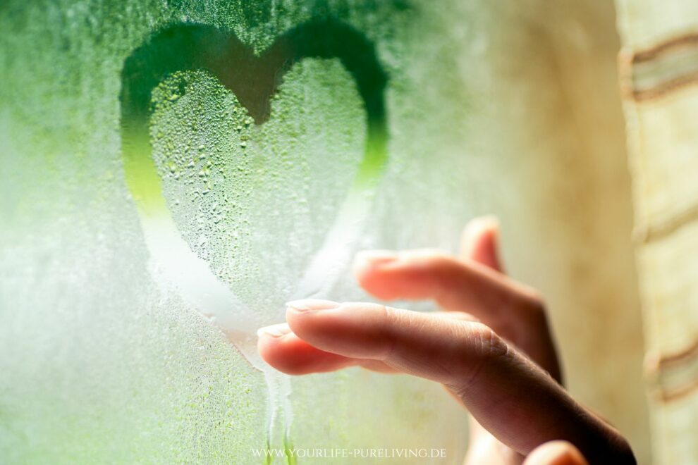 Blog_Zulassen statt loslassen_YourLife Coaching und Beratung