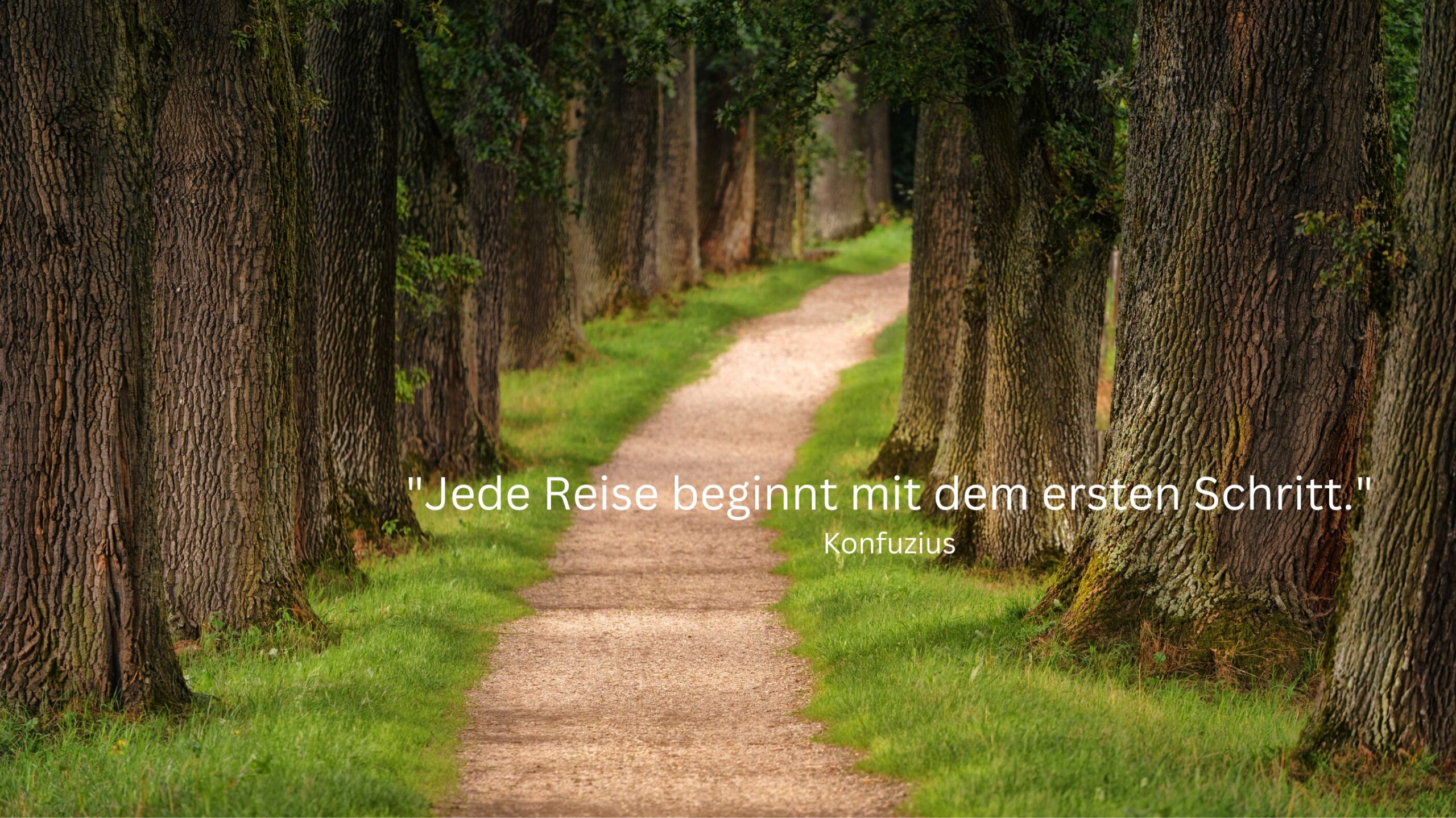 Walk and Talk_Praxis für Coaching und Psychotherapie Köln_Sandra Hilberath