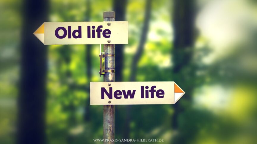 Warum große Ziele oft scheitern und kleine Schritte nachhaltige Veränderung ermöglichen. Mit Blick auf dein Nervensystem und 5 sofort umsetzbaren Impulsen.