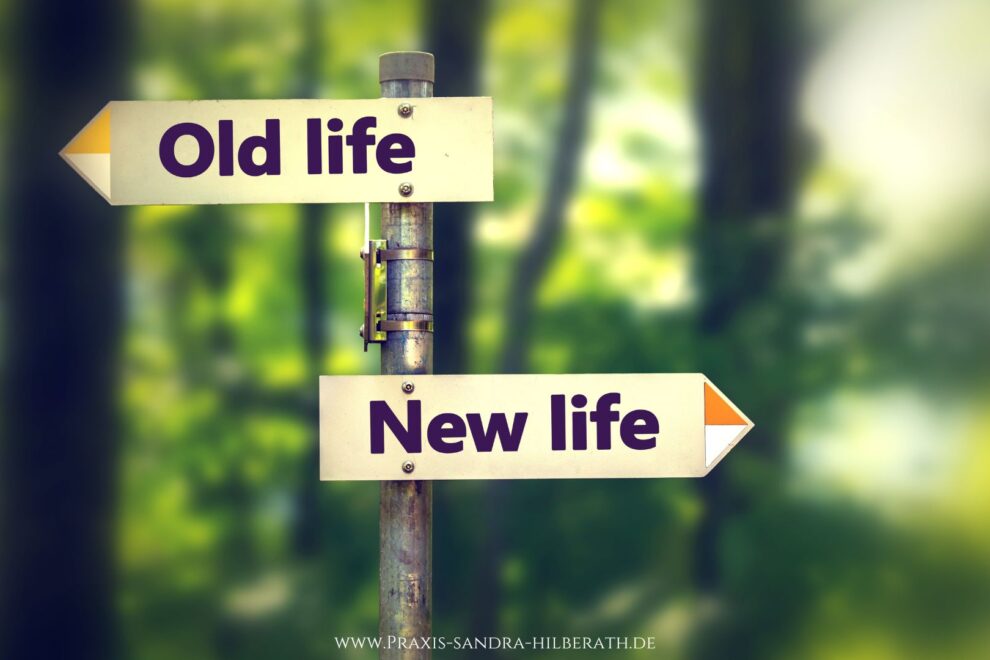 Warum große Ziele oft scheitern und kleine Schritte nachhaltige Veränderung ermöglichen. Mit Blick auf dein Nervensystem und 5 sofort umsetzbaren Impulsen.